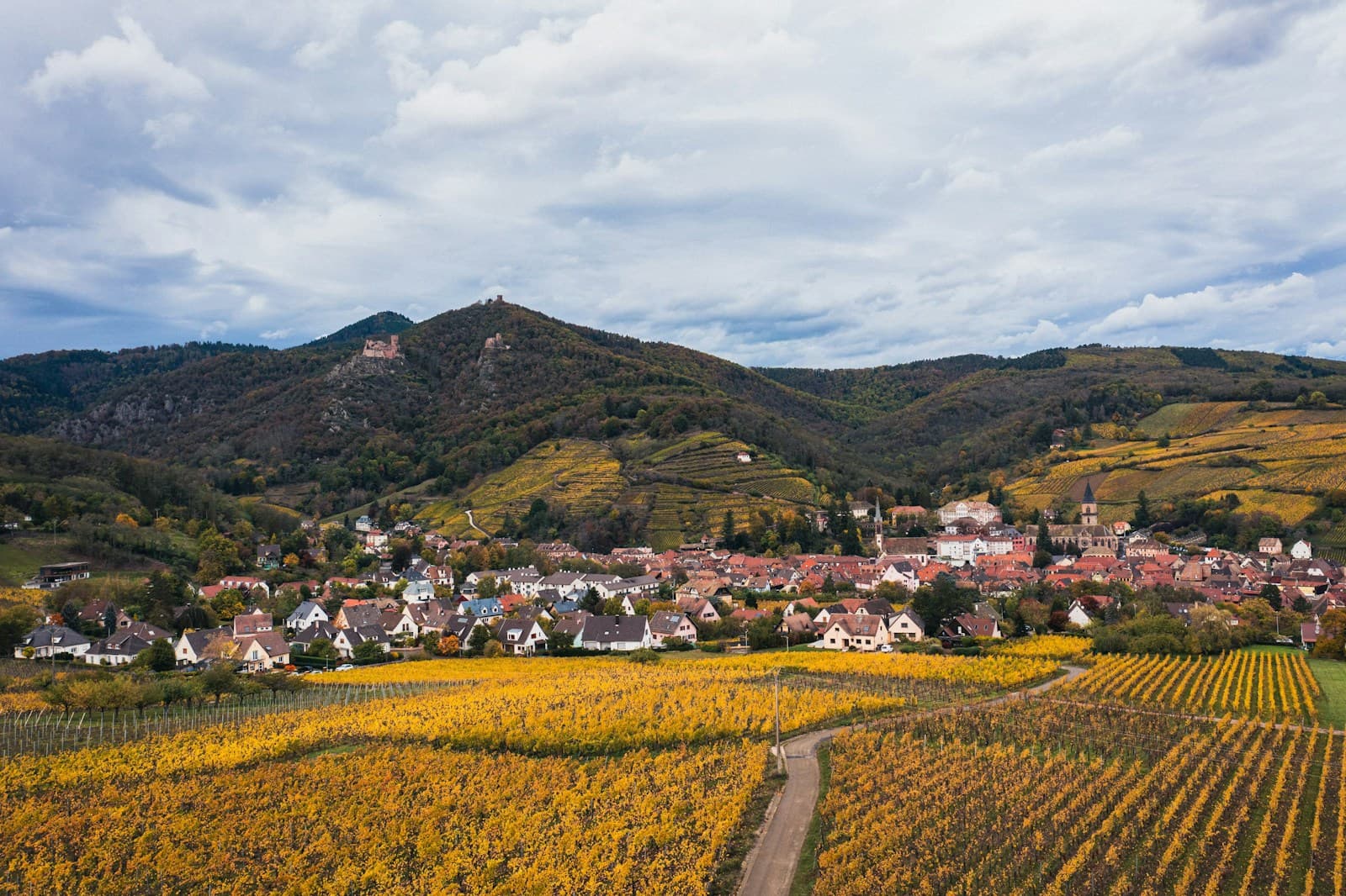 Vale do Rhône — Guigal La Mouline