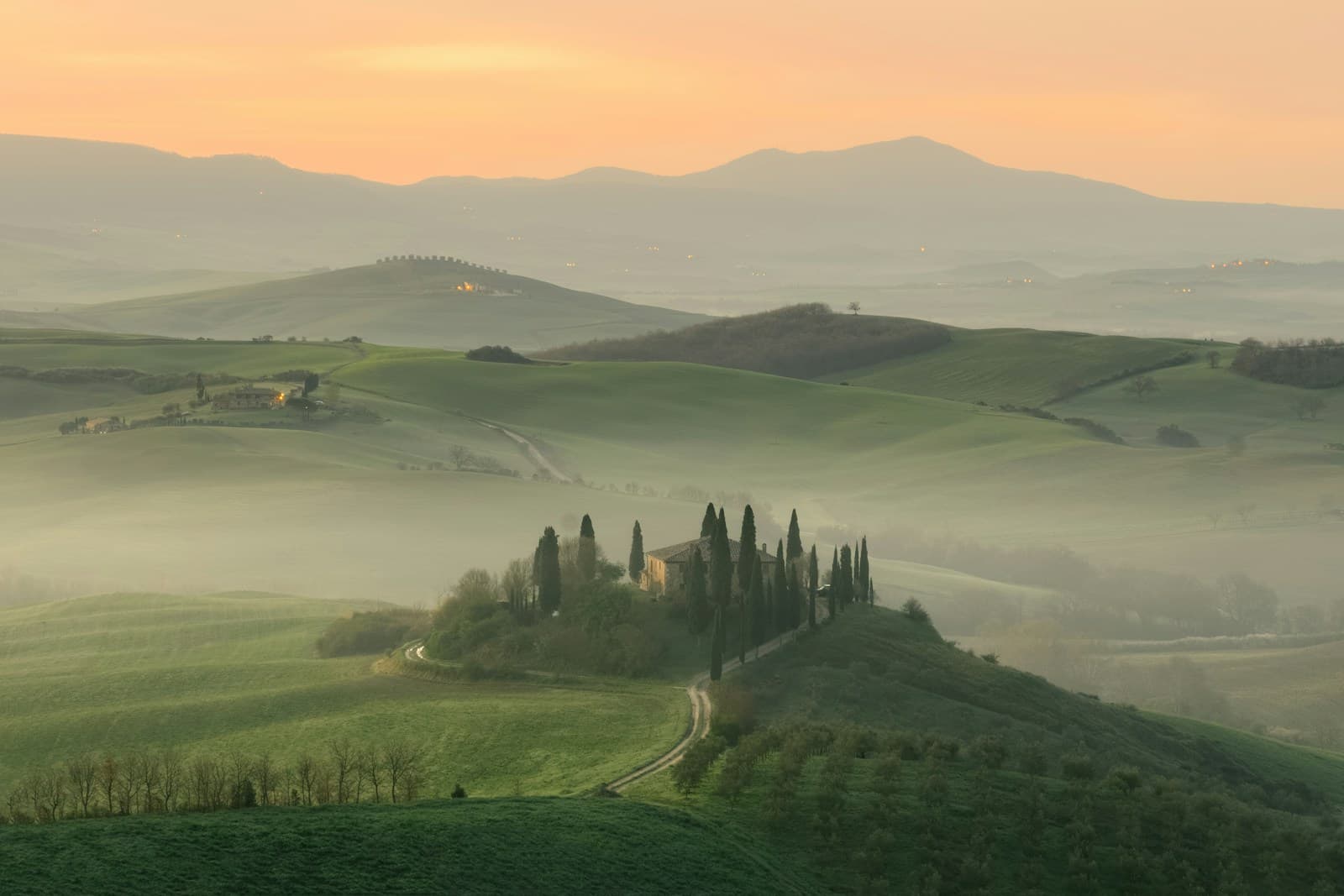 Toscana — Sassicaia